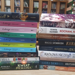 W bibliotece. Na stoliku ułożone książki.