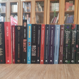 W bibliotece. Na stoliku ułożone książki.