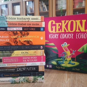 W bibliotece. Na stoliku ułożone książki.