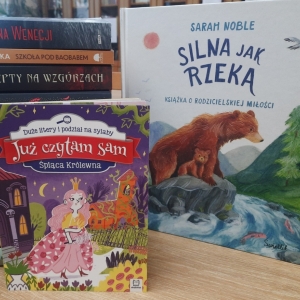 W bibliotece. Na stoliku ułożone książki.