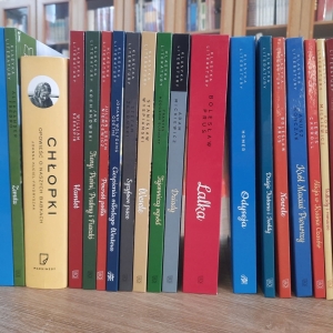 W bibliotece. Na stoliku ułożone pionowo książki. W tle regały z książkami.