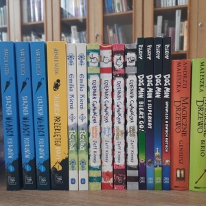 W bibliotece. Na stoliku ustawione książki. W tle regały z książkami.